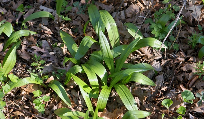 Spring is Ramping Up Spring is Ramping Up
