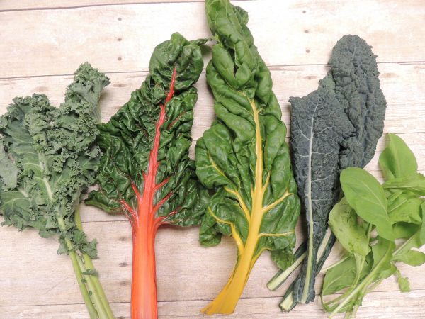 swiss chard and kale swiss chard, kale, salad, hearty greens