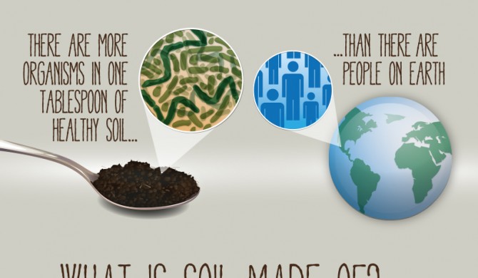 Soil is Life Soil is Life
