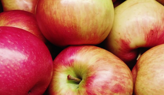 Celebrating Autumn with Apples Celebrating Autumn with Apples