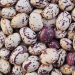Cooking Dried Beans Cooking Dried Beans