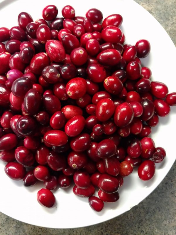 fresh organic cranberries