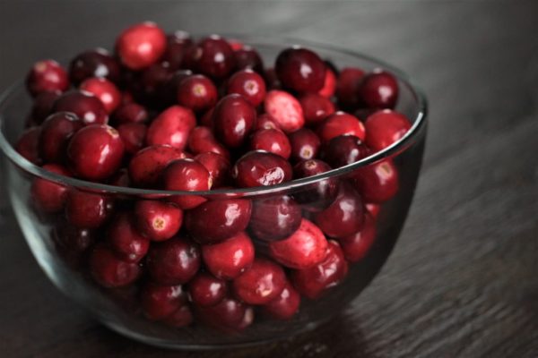 1229-rhv-bitescranberries-1024×683